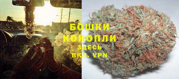 гидропоника Инта