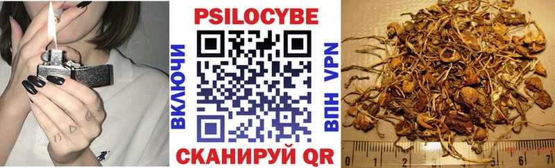 Псилоцибиновые грибы Psilocybine cubensis  Купить где  Камешково 